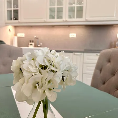 Vibrant L Stylish 2bd In Center Varna